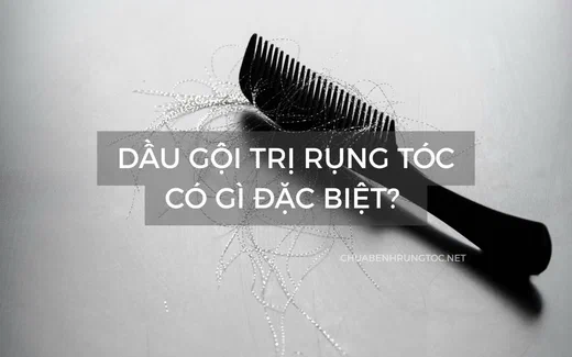 Dầu gội trị rụng tóc có gì đặc biệt? 10 loại phổ biến và sự thật về hiệu quả
