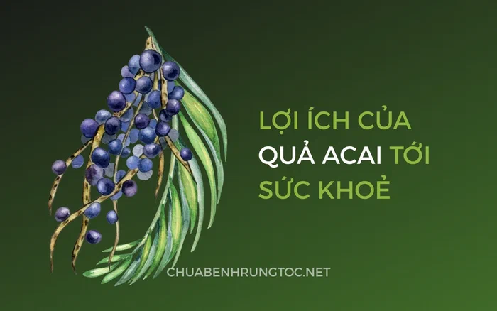 Acai là gì? Tác dụng của Acai với tóc, da đầu và sức khỏe