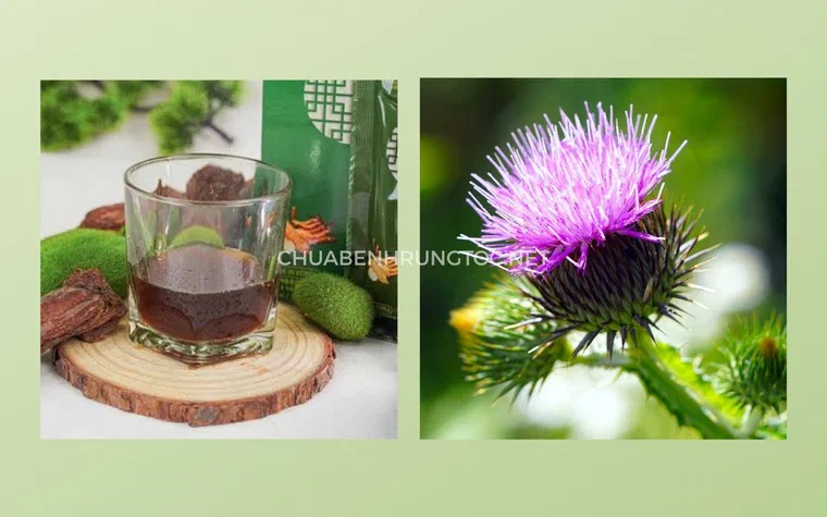 Các bộ phận non của cây kế sữa được sơ chế thành nguyên liệu nấu ăn sau khi loại bỏ gai