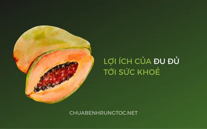 Tác dụng của đu đủ với tóc, da đầu và sức khỏe