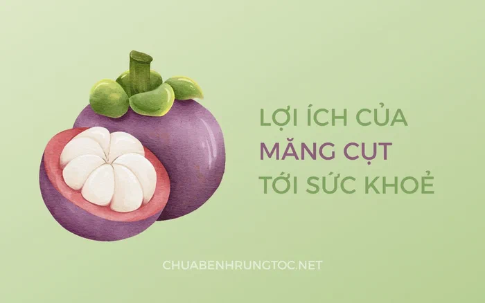 Tác dụng của măng cụt với sức khỏe, tóc và da đầu