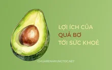 Tác dụng của quả bơ với sức khỏe, tóc và da đầu