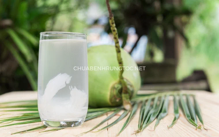 Những quả dừa xanh còn nguyên trên tàu lá của cây dừa nhiệt đới